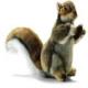 Squirrel Plush Stuffed 9 Inches (Holding Acorn/Nut) by Hansa