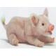 Pig (Penelope) Plush 11 Inches Long Laying on Belly by Hansa