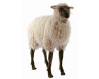 Gentle Ewe Plush Stuffed Animal 41 Inches Long RIDEABLE by Hansa