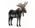 Moose Plush Stuffed 49 Inches Long Life Size RIDEABLE by Hansa