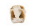 Guinea Pig Brown & White Plush Stuffed 8 Inches Long by Hansa