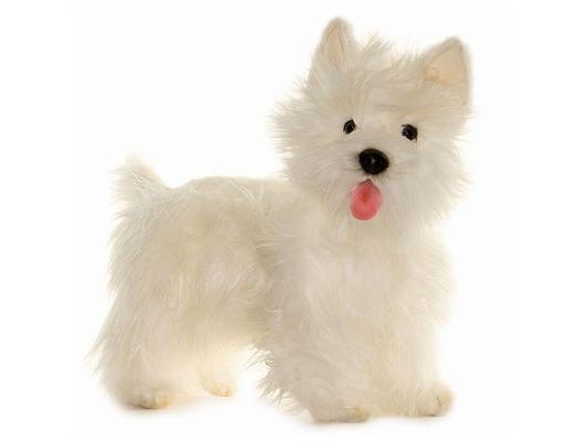 west highland terrier soft toy