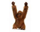 Orangutan Plush Stuffed 14 inch Rainforest Animal by Hansa