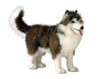 Siberian Husky Plush Stuffed Dog 16 Inches by Hansa