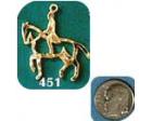 Horse Charm (Dressage Horse)