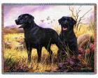 Labrador Retriever Throw Blanket (Woven/Tapestry) Black Lab