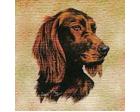 Irish Setter Lap Square Throw Blanket (Woven)