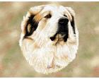 Great Pyrenees Lap Square Throw Blanket (Woven)