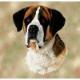 Saint Bernard Lap Square Throw Blanket (Woven)