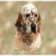 English Setter Lap Square Throw Blanket (Woven)