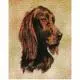 Irish Setter Lap Square Throw Blanket (Woven)