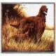 Irish Setter Throw Blanket (Woven/Tapestry)