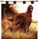 Irish Setter Wall Hanging (Woven/Tapestry)