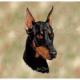 Doberman Lap Square Throw Blanket (Woven)