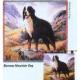 Bernese Mountain Dog Wall Hanging (Woven/Tapestry)