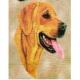 Rhodesian Ridgeback Lap Square Throw Blanket (Woven)