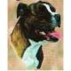 Staffordshire Bull Terrier Lap Square Throw Blanket (Woven)