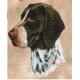 German Shorthair Pointer Lap Square Throw Blanket (Woven)