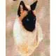 Siamese Cat Lap Square Throw Blanket (Woven)