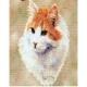 Cat Lap Square Throw Blanket (Woven) (Red and White Shorthaired)