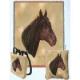 Morgan Horse Lap Square Throw Blanket (Woven)