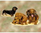 Dachshund Lap Square Throw Blanket (Woven) (Puppies)