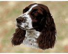 Springer Spaniel Lap Square Throw Blanket (Woven)