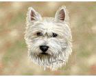 West Highland Terrier Lap Square Throw Blanket (Woven) Westie
