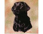 Labrador Retriever Lap Square Throw Blanket (Woven) Black Lab