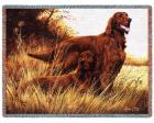 Irish Setter Throw Blanket (Woven/Tapestry)