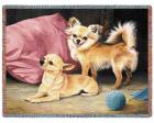 Chihuahua Throw Blanket (Woven/Tapestry)