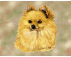 Pomeranian Lap Square Throw Blanket (Woven)