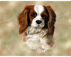Cavalier King Charles Lap Square Throw Blanket (Woven)