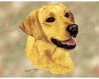 Labrador Retriever Lap Square Throw Blanket (Woven) Yellow Lab