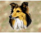 Shetland Sheepdog Lap Square Throw Blanket (Woven) Sheltie