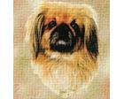 Pekingese Lap Square Throw Blanket (Woven)