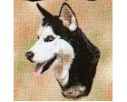 Siberian Husky Lap Square Throw Blanket (Woven)