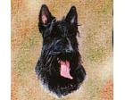 Scottish Terrier Lap Square Throw Blanket (Woven) Scottie