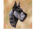 Schnauzer Lap Square Throw Blanket (Woven)