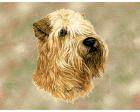 Soft-Coated Wheaten Lap Square Throw Blanket (Woven)