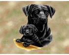 Labrador Retriever Lap Square Throw Blanket (Woven) Black Lab an