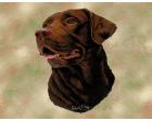 Labrador Retriever Lap Square Throw Blanket (Woven) Chocolate La