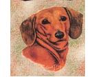 Dachshund Lap Square Throw Blanket (Woven)