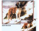 Saint Bernard Wall Hanging (Woven/Tapestry)