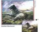 Scottish Deerhound Wall Hanging (Woven/Tapestry)