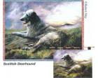 Scottish Deerhound Throw Blanket (Woven/Tapestry)
