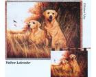 Labrador Retriever Throw Blanket (Woven/Tapestry) Yellow Lab