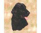 Flat-Coated Retriever Lap Square Throw Blanket (Woven)