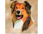 Collie Lap Square Throw Blanket (Woven) (Roughcoat)