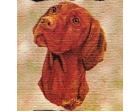 Vizsla Lap Square Throw Blanket (Woven)